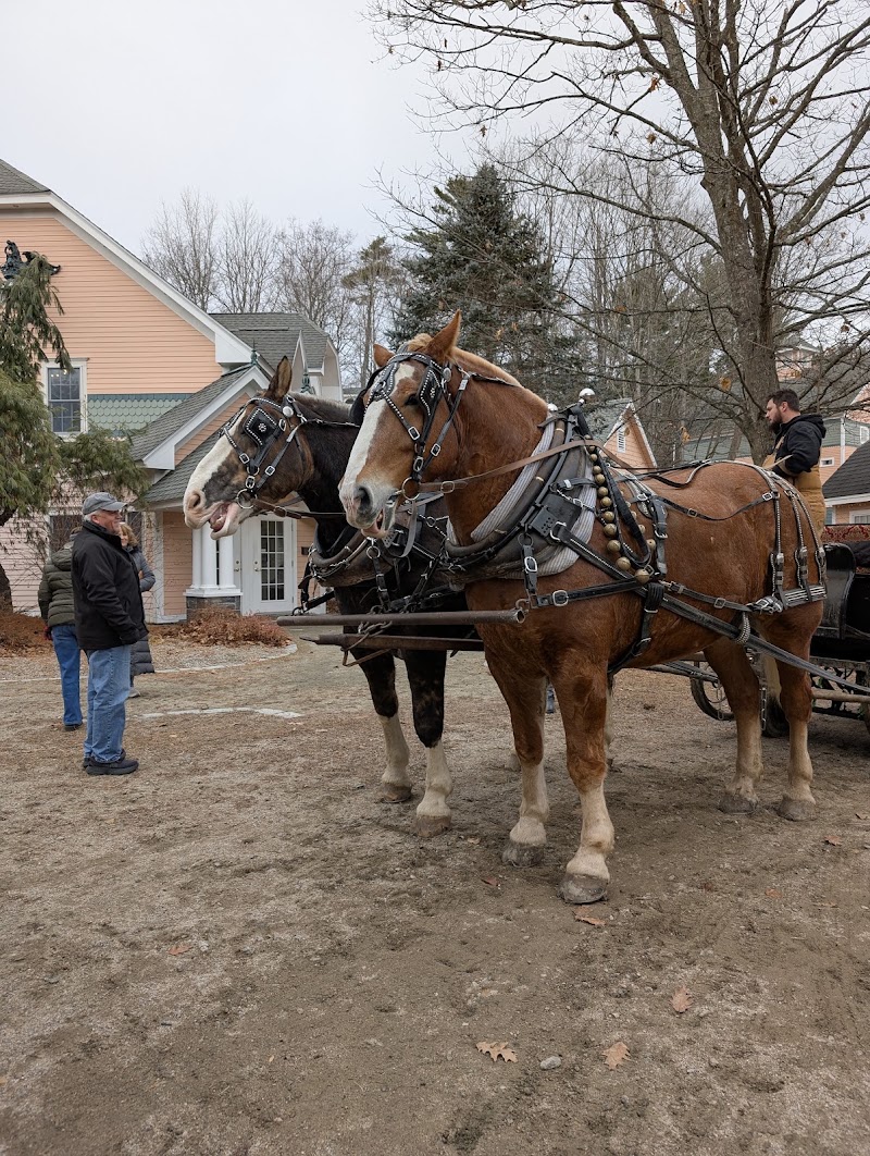 Christmas Mountain Condominiums Bldg A - Christmas Mountain Condominiums Bldg A Santa Ln, Intervale, NH 03845, USA