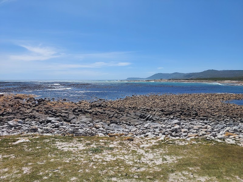 Cape of Good Hope - Cape of Good Hope, Cape Peninsula, Cape Town, South Africa