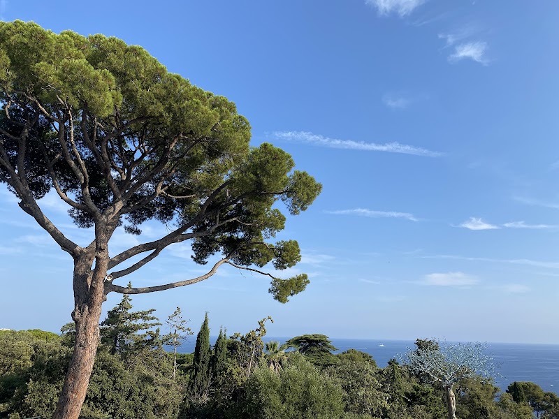 Colline du Château - Colline du Château, 06300 Nice, France