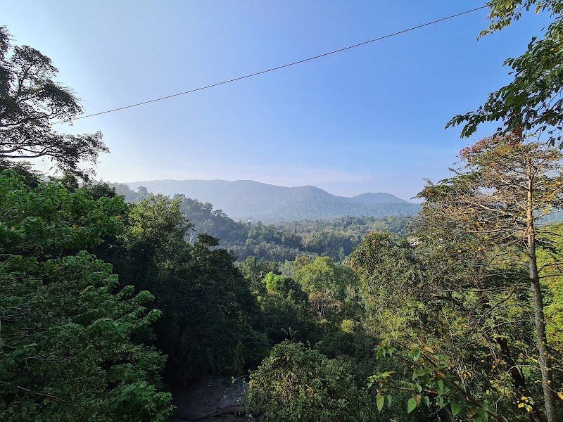 Cheeyappara Waterfalls - Cheeyappara Waterfalls NH 85, Kochi-Madurai-Tondi Point Rd, Chillithodu, Kerala 685561, India