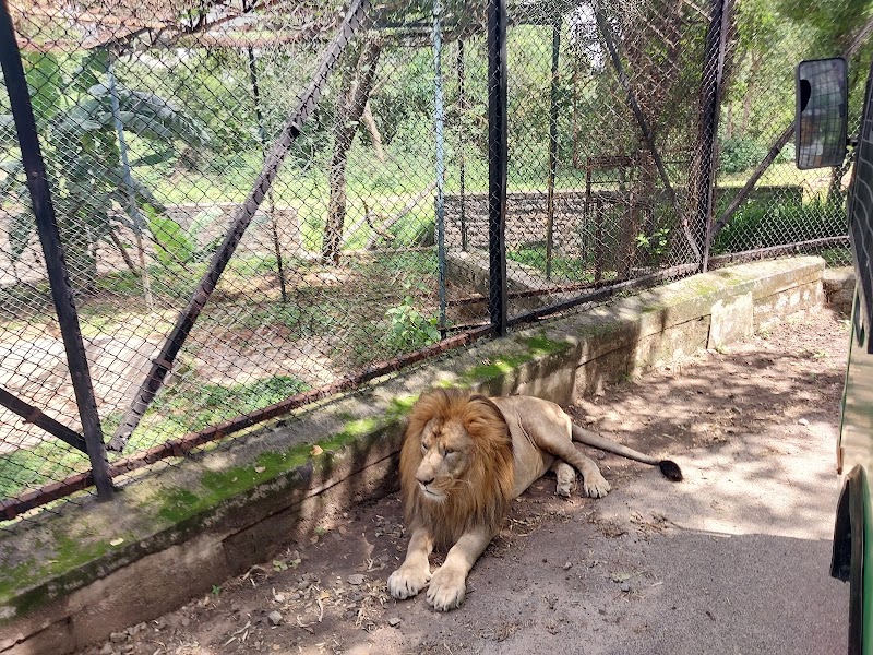 Bannerghatta National Park - Bannerghatta National Park National Park Rd, Bengaluru, Karnataka 560083, India