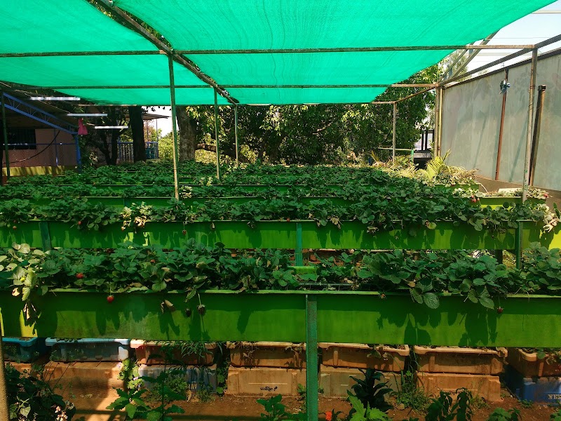kate's point Sanctuary - kate's point Sanctuary, WMPW+XQR, Old Mahabaleshwar- Nakinda Rd, Nakinda, Maharashtra 412806, India
