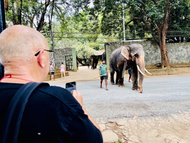 Arugambay Lanka Tours ~TAXI & KUMANA SAFARI - Arugambay Lanka Tours ~TAXI & KUMANA SAFARI No 5 Main Street, Arugam Bay 32500, Sri Lanka