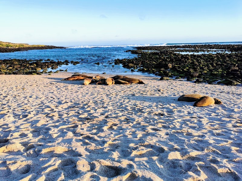 Playa Lobería - Playa Lobería, frente ala pista del avion, 39FQ+77Q, Puerto Baquerizo Moreno, Ecuador