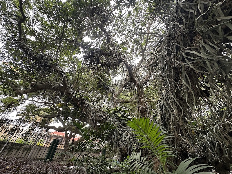 KoraWalks - KoraWalks Heble Park, Koramangala 3 Block, Koramangala, Bengaluru, Karnataka 560034, India