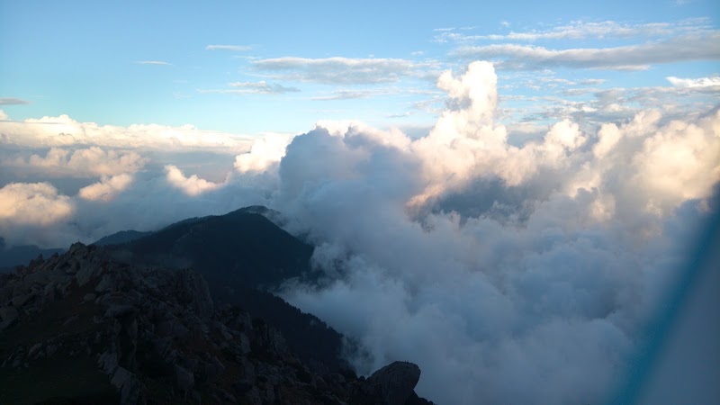 Churdhaar Peak - Churdhaar Peak, Himachal Pradesh 171211, India