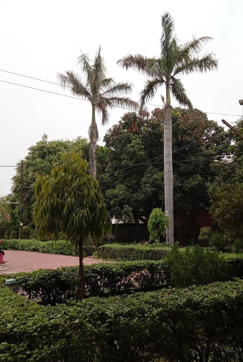 Anand Park - Anand Park Bankati Hanuman Road, Durgakund Rd, near Vankatti Hanumanji Mandir, Durgakund, Anandbagh, Bhelupur, Varanasi, Uttar Pradesh 221005, India
