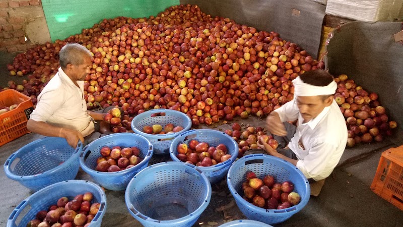 Krishana apple orchards - Krishana apple orchards, 35X9+MQ3, Nathan, Himachal Pradesh 175130, India