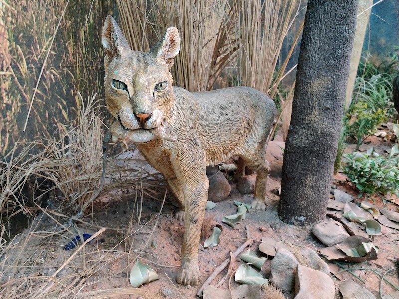 Nature Interpretation Centre, Sukhna Lake - Nature Interpretation Centre, Sukhna Lake PRQJ+QCR, Bhagwanpura, Chandigarh, 160001, India