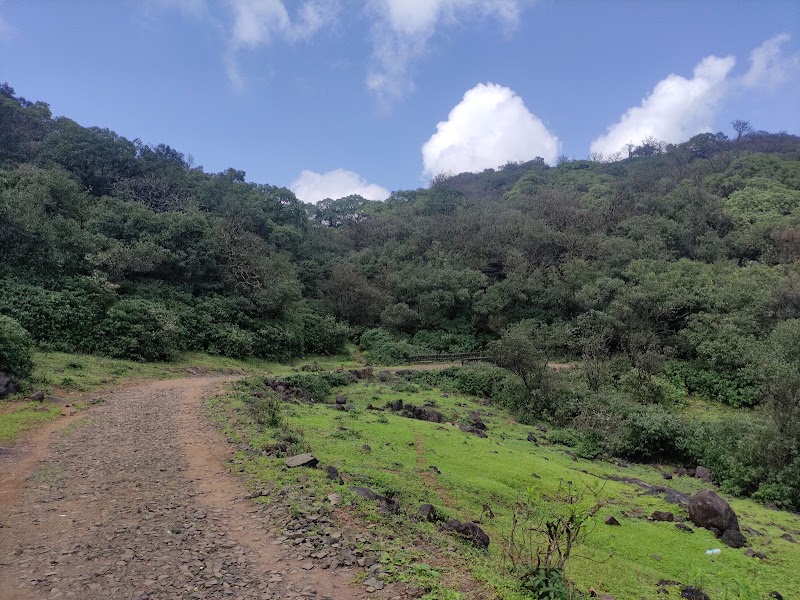 Bhimashankar Forest Reserve - Bhimashankar Forest Reserve, 3G8J+6RQ, Bhimashankar, Maharashtra 410509, India