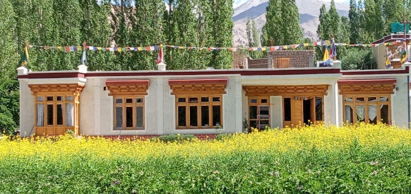 Ree HomeStay - Ree HomeStay, Upper, Changspa Rd, Leh, 194101