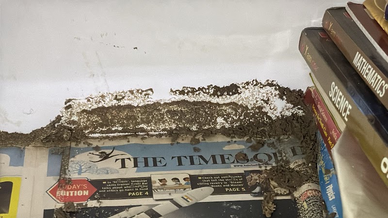 Godrej Pest And Rodent Control - Godrej Pest And Rodent Control, F2,8A, KSK School, 1, Mangal Bazar Rd, Block F 2, Sangam Vihar, New Delhi, Delhi 110080, India