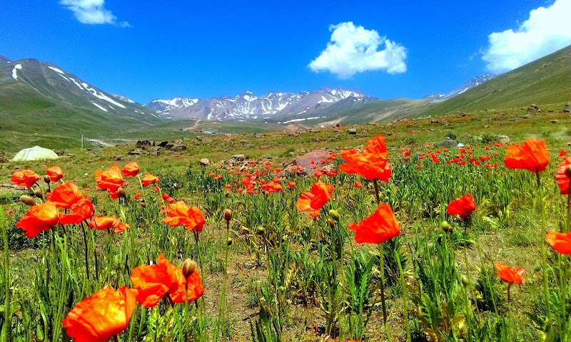 Alvares Ski Resort - Alvares Ski Resort, 6V6H+P6P، اردبیل، استان اردبیل، Iran