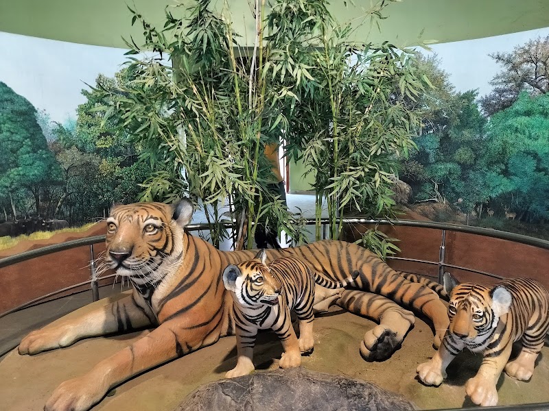 Pench National Park Turia Gate - Pench National Park, Turia Gate, Kohka, Madhya Pradesh 480881, India