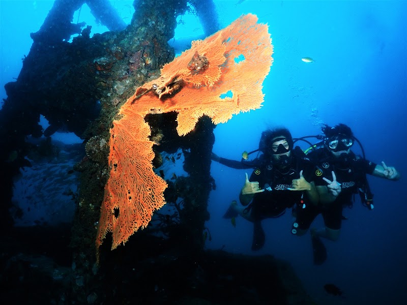 Phi Phi Barakuda Scuba - Dive Center, Diving Phi Phi Island - Phi Phi Barakuda Scuba - Dive Center, Diving Phi Phi Island PQRF+49Q, Ko Phi Phi Don, ตำบล อ่าวนาง อำเภอเมืองกระบี่ กระบี่ 81000, Thailand