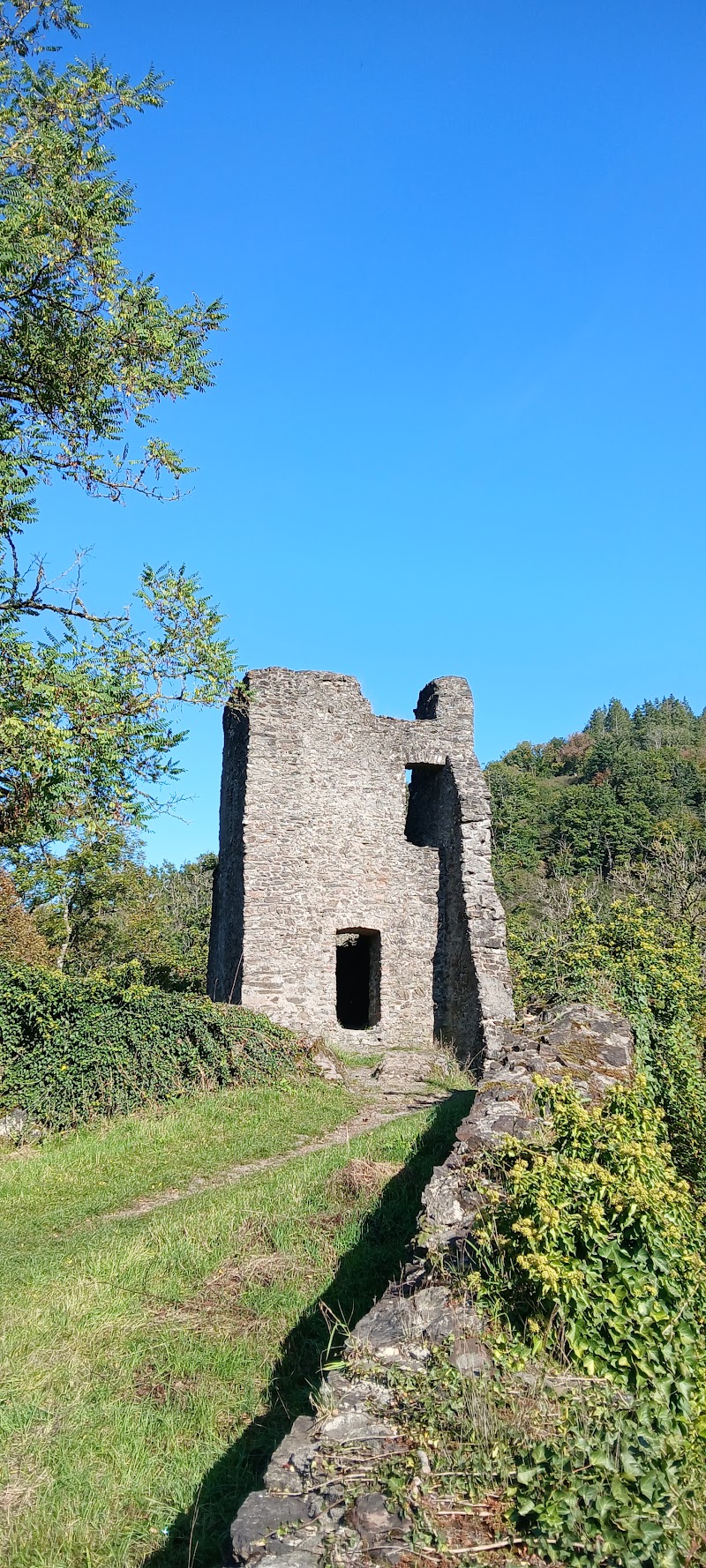 Manderscheid Upper Castle - Manderscheid Upper Castle, Kurfürstenstraße 1, 54531 Manderscheid, Germany