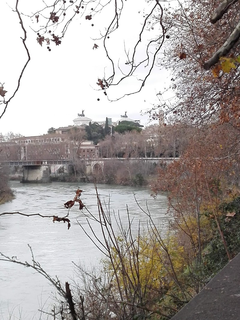 Trastevere/Pascarella - Trastevere/Pascarella, 00153 Rome, Metropolitan City of Rome Capital, Italy