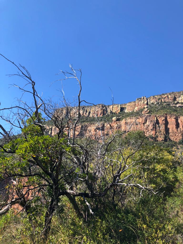 Lower Viewpoint (Blyde Canyon A Forever Resort) - Lower Viewpoint (Blyde Canyon A Forever Resort), Sabie, South Africa