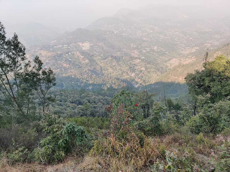 Track to Sitla - Track to Sitla, FJGV+MRJ, Mukteshwar Mahadev Rd, Mukteshwar, Uttarakhand 263138, India
