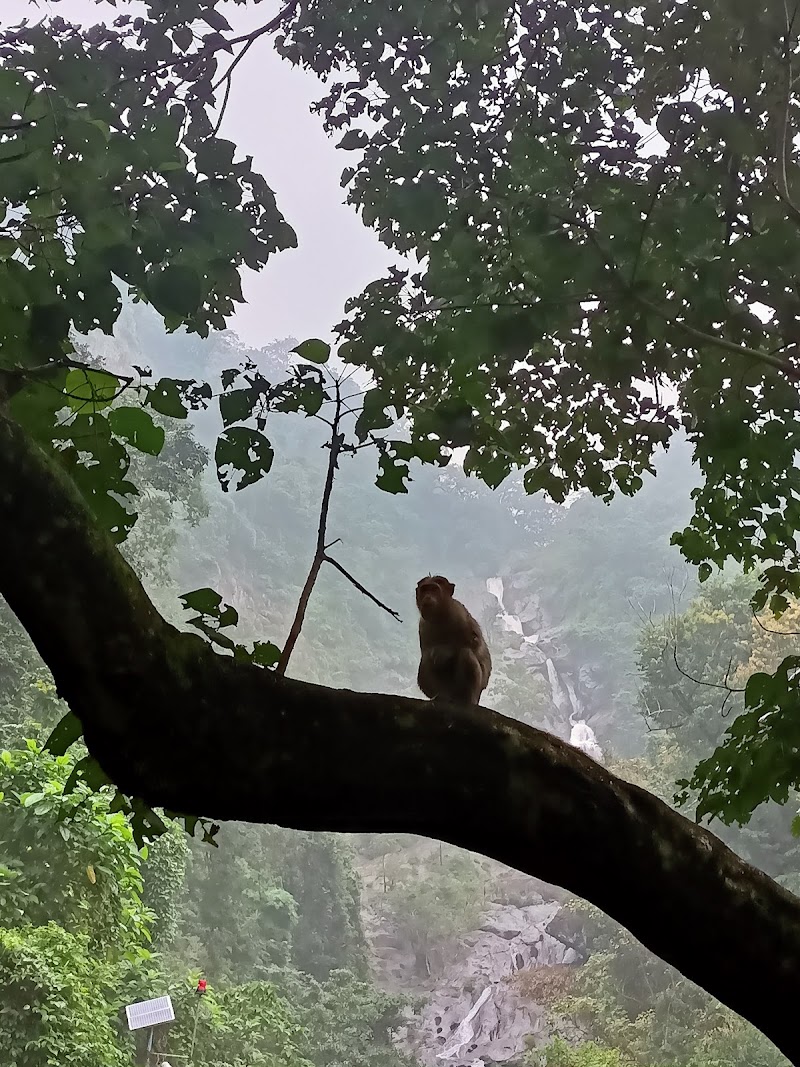 Siruvani Waterfalls - Siruvani Waterfalls, Noyyal River, WMQP+4RC, Booluvampatti, Tamil Nadu 641114, India