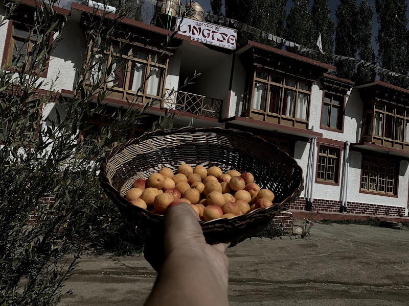 Lingtse A peaceful place to stay - Lingtse A peaceful place to stay, Upper Changspa Yurthung, Lingtse Leh Jammu and Kashmir, Leh, 194101