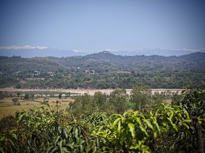 HillTop Orchard - HillTop Orchard, Mandi - Pathankot Rd, Raja Ka Bagh, Basa, Himachal Pradesh 176201, India
