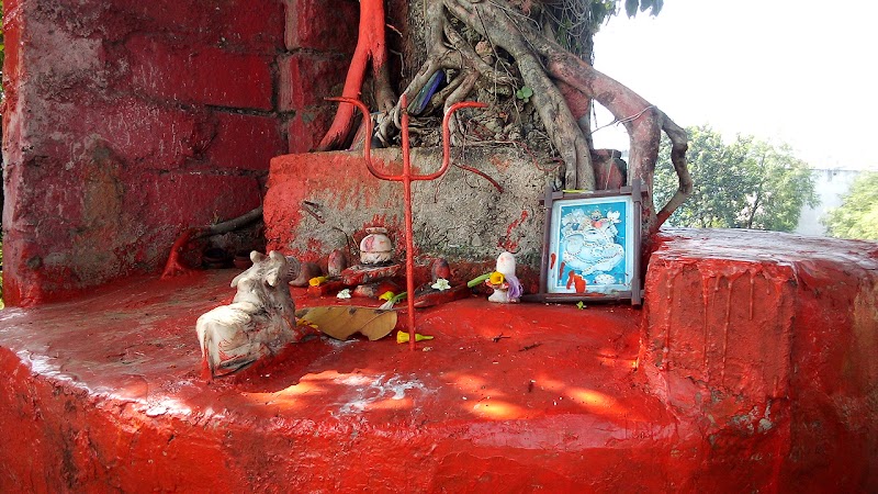 Nav Yuvak Gan Samiti, Jai Shree Ram Lal Baba Mandir - Nav Yuvak Gan Samiti, Jai Shree Ram Lal Baba Mandir, 6JJ9+WF9, Lakhe Nagar, Raipur, Chhattisgarh 492001, India