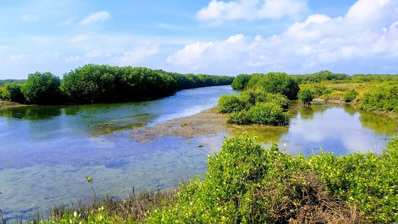 Bird Sanctuary - Bird Sanctuary, South-Coast Rd, Sri Lanka
