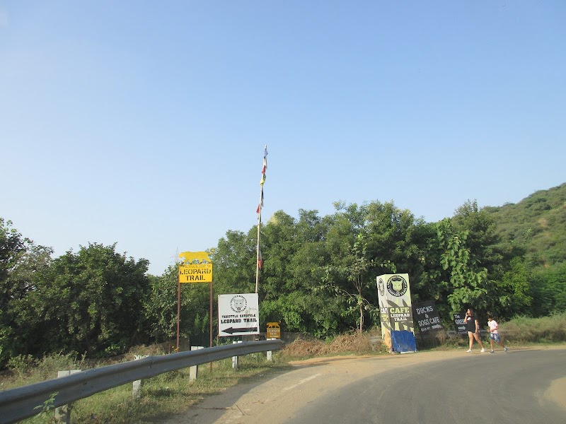 Leopard Trail View