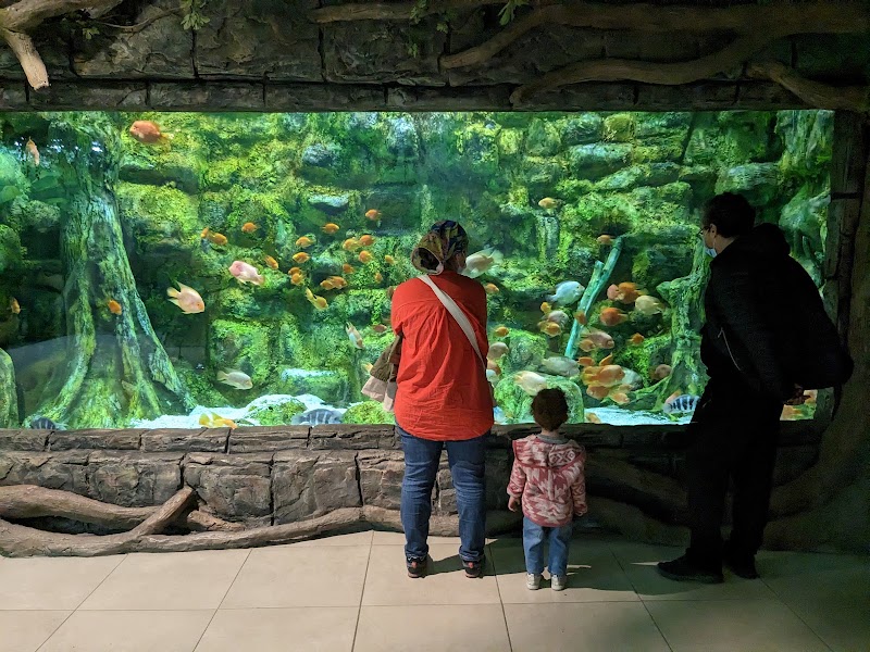Funtastic Aquarium - Funtastic Aquarium, Gilan Province, Bandar Anzali, منطقه آزاد انزلی،کیلومتر 5، Fatehi Blvd, FM3F+8XX, Iran