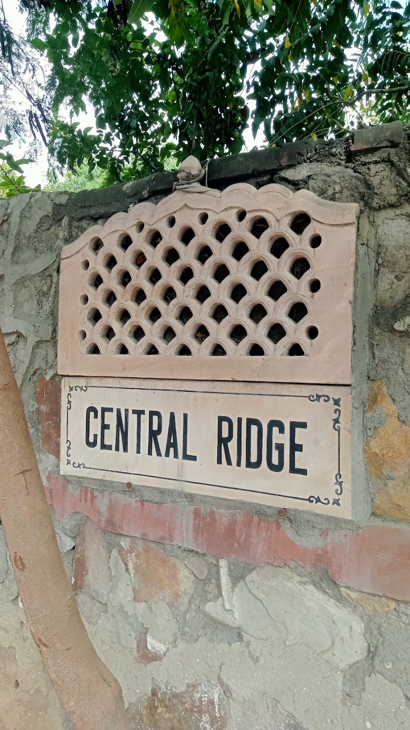 Central Ridge - Central Ridge J5HP+PV, Central Ridge Reserve Forest, New Delhi, Delhi 110060, India