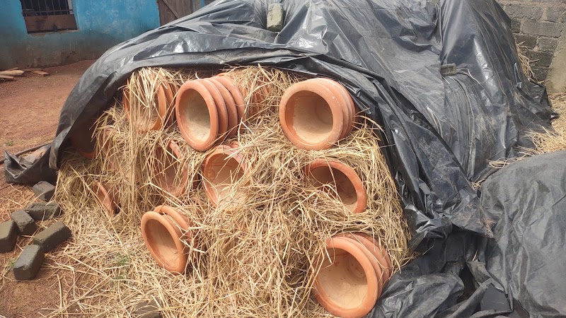 Maa Durga Nursery ( mitti ke gamle and mitti pots) - Maa Durga Nursery ( mitti ke gamle and mitti pots), 6HJX+76V, Agroha Colony, Changurabhata, Raipur, Chhattisgarh 492013, India