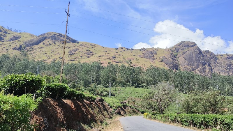 Tea plantation View point - Tea plantation View point 33F4+GQ, Kannan Devan Hills, Kerala 685612, India