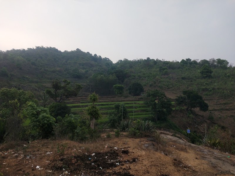 Thatiguda Waterfall - Thatiguda Waterfall, 62G5+8CG, Ananthagiri, Andhra Pradesh 535145, India