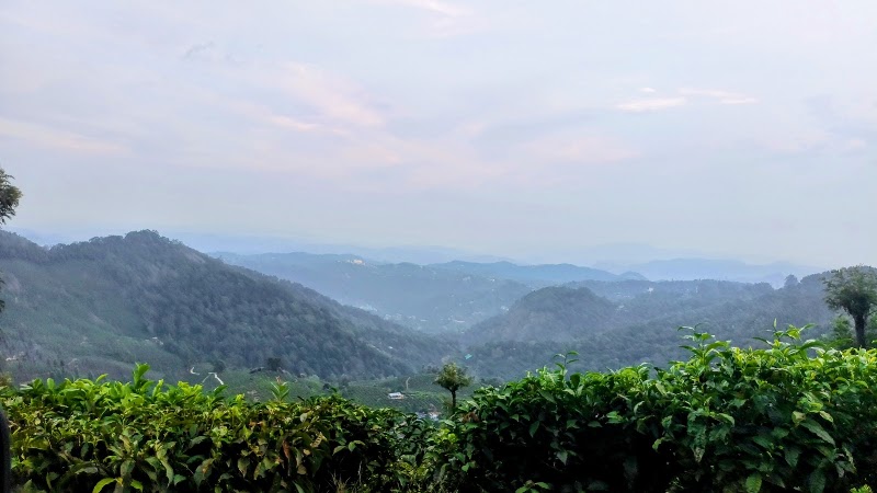 Spot Me Mountain Cabin - Spot Me Mountain Cabin Pullivasal Estate, Attukad Waterfall Rd, Munnar, Pallivasal, Kerala 685565, India