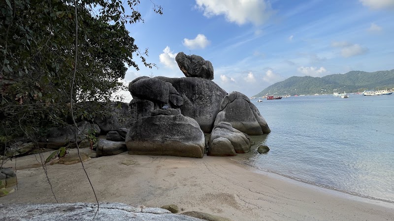 Mae Haad Beach - Mae Haad Beach 3RPF+CVM, Ko Tao, Ko Pha-ngan District, Surat Thani 84360, Thailand