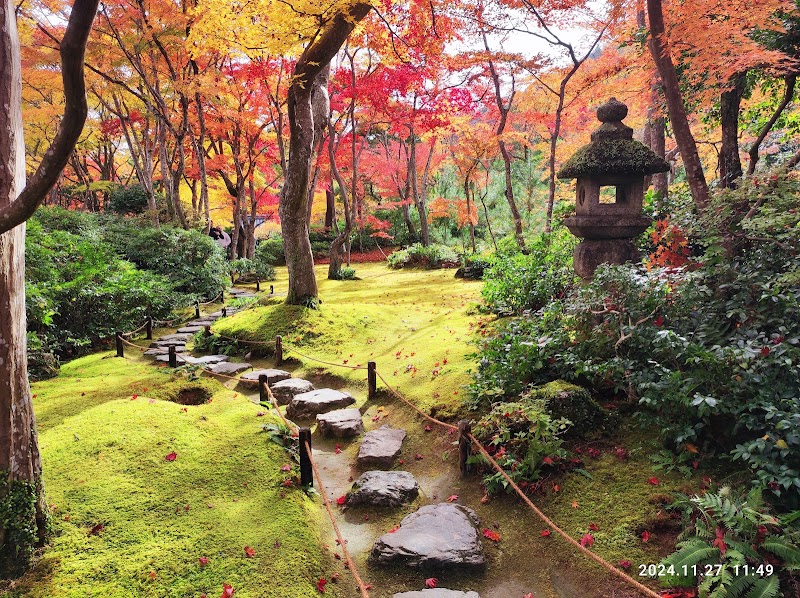 Okochi Sanso Garden - Okochi Sanso Garden 8 Sagaogurayama Tabuchiyamacho, Ukyo Ward, Kyoto, 616-8394, Japan