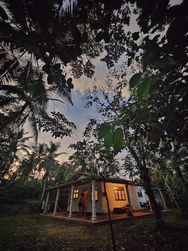 The Jungle House - The Jungle House, X9Q7+4X4 Danduhela, Ahangama, Sri Lanka