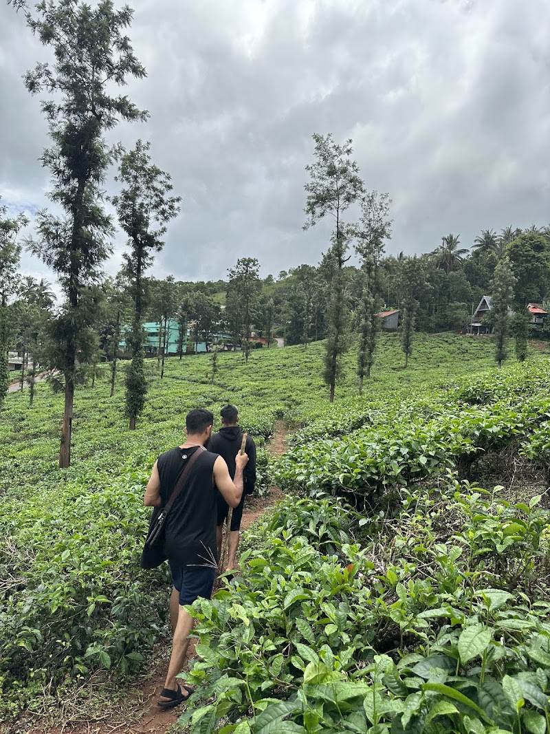 Wayanad Resort - Wayanad Resort Kumbaleri Amablavayal, J5PV+XC9, Bypass, Meenangadi, Krishnagiri, Kerala 673593, India