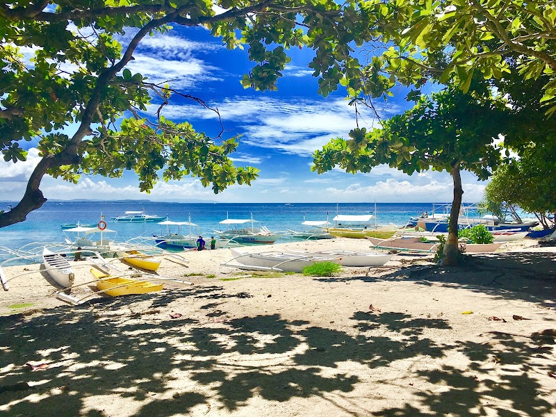 Balicasag Island Public Beach - Balicasag Island Public Beach, Panglao, Bohol, Philippines