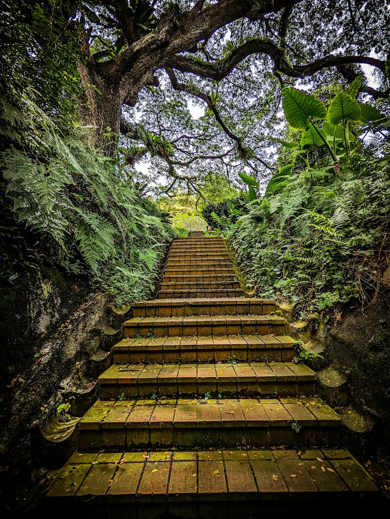 Fort Canning Park - Fort Canning Park Singapore