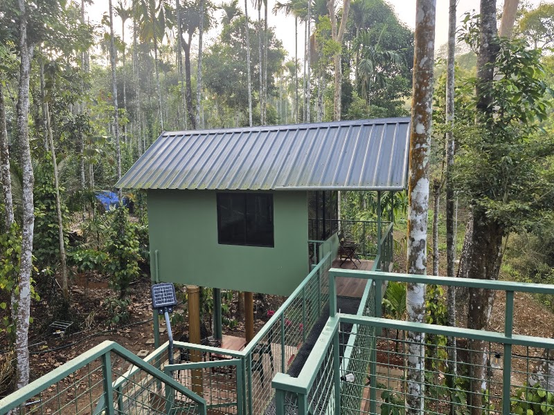 Jungle Getaway - Jungle Getaway Jungle Getaway’ Elayidam Kolli Kappikunnu, Q48R+8VV, post, Pulpally, Kerala 673596, India