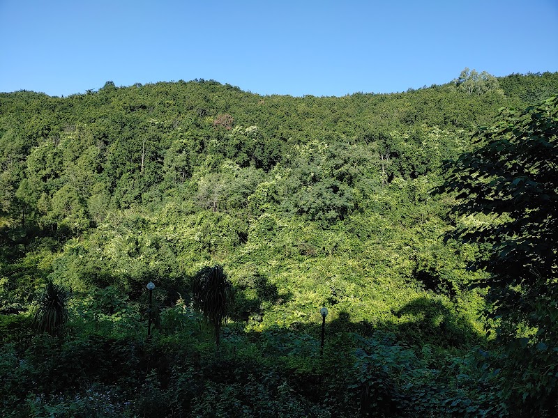 Hotel Rajpur Resort - Hotel Rajpur Resort 7, Old Mussoorie Rd, Rajpur, Dehradun, Uttarakhand 248009, India