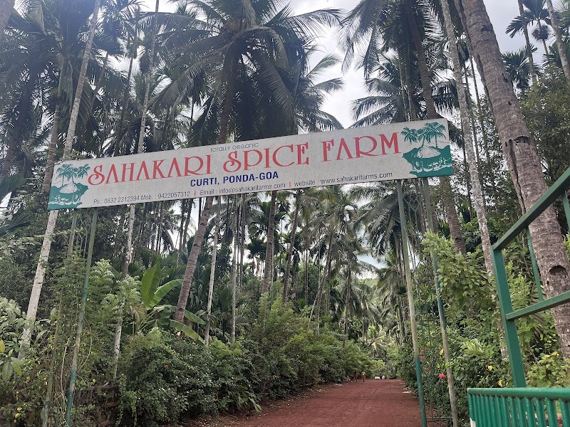 Sahakari Spice Plantation - Sahakari Spice Plantation C25F+PGV, Unnamed Road, Prabhu Nagar, Ponda, Goa 403401, India