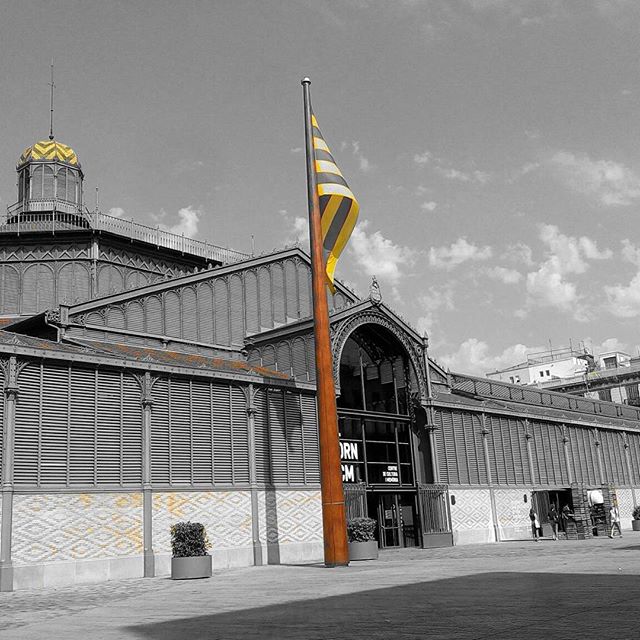 DonkeyTours Barcelona - DonkeyTours Barcelona, Plaça Nova, 2, bajos izquierda, Ciutat Vella, 08002 Barcelona, Spain