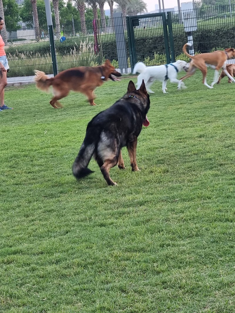 Dog Park - Dubai Hills Estate Park - Dog Park - Dubai Hills Estate Park, Unnamed Road - 466X+455 - حدائق الشيخ محمد بن راشد - دبي - United Arab Emirates