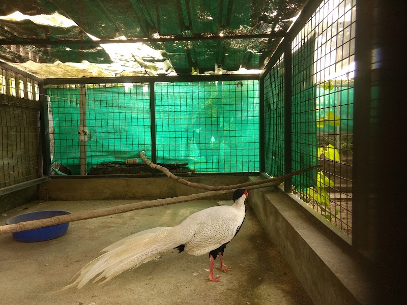 Serene Homestay & Farm Tourism - Serene Homestay & Farm Tourism 2/7, Valiyaveetil, 4642+466, Ward no : 2, Edavanakkad, Vypin, Kochi, Kerala 682502, India