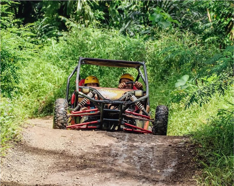 Ubud Quad Biking | Bali Buggy UTV - Ubud Quad Biking | Bali Buggy UTV Jl. Raya, Singapadu Kaler, Kec. Sukawati, Kabupaten Gianyar, Bali 80571, Indonesia