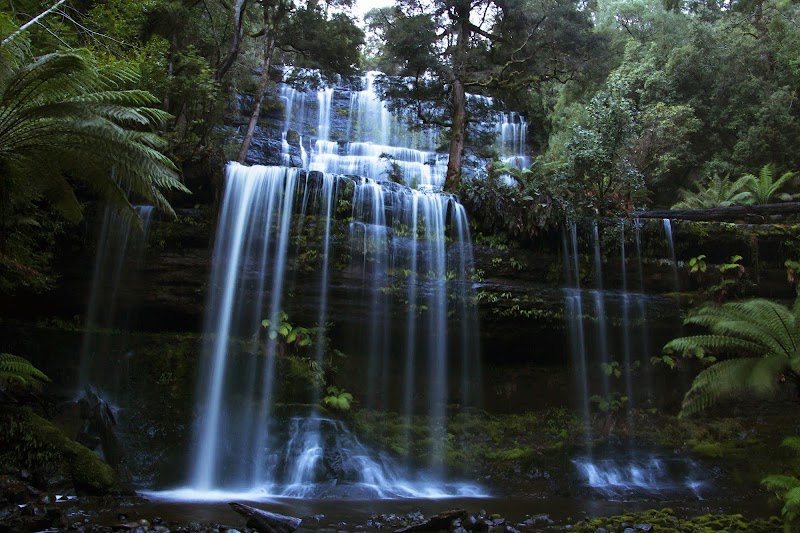 Mount Field National Park