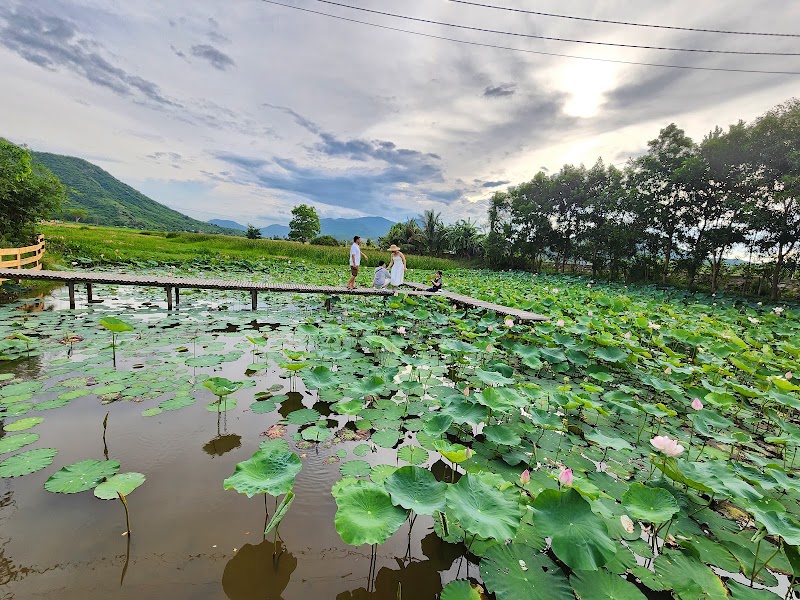 Fairy Stream Sheep Farm - Fairy Stream Sheep Farm, ĐT702, Nam Cam Ranh, Khánh Hòa, Vietnam